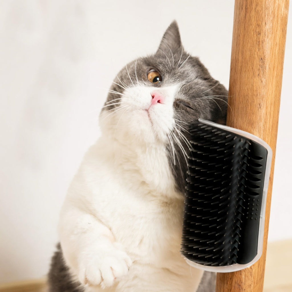 Cat Self Groomer Arch  Self Cleaning Slicker Brush