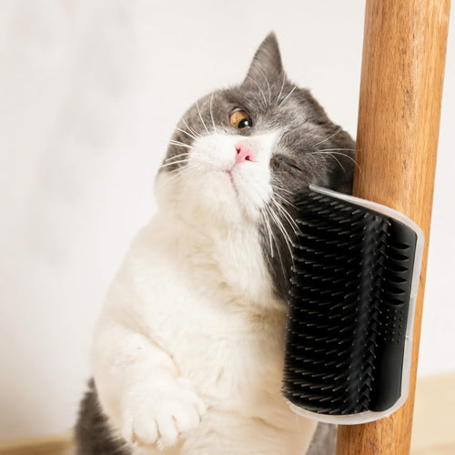 Cat Self Groomer Arch  Self Cleaning Slicker Brush