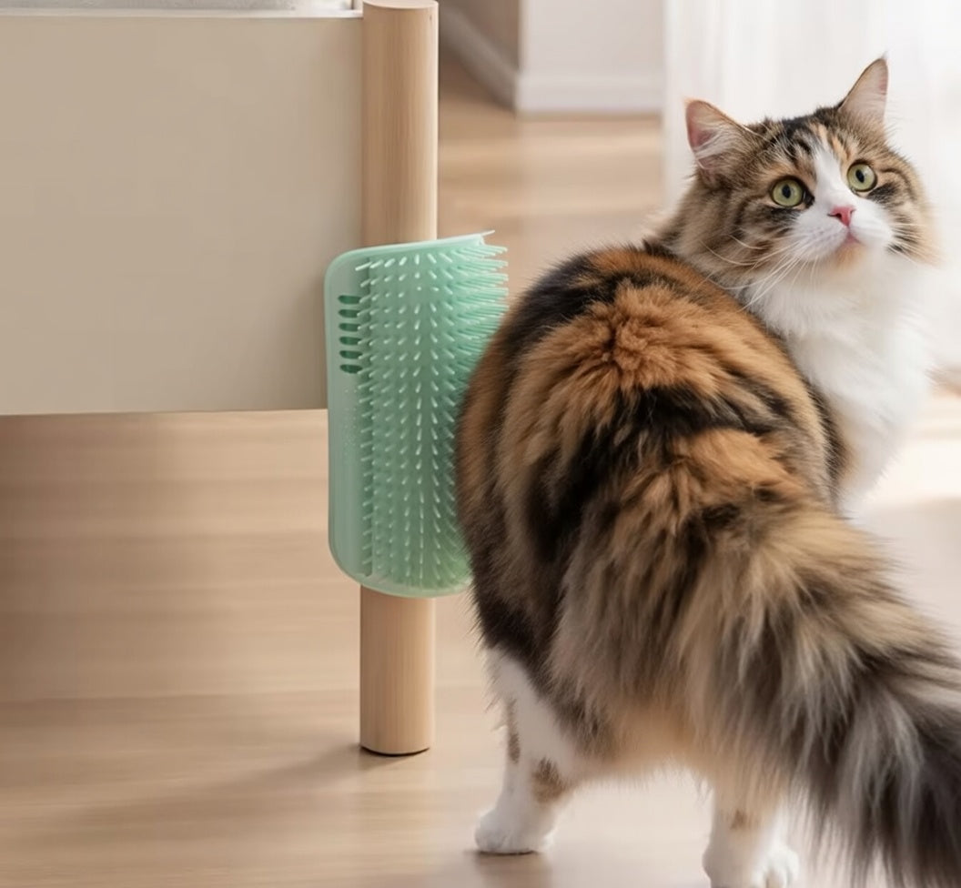 Cat Self Groomer Arch  Self Cleaning Slicker Brush